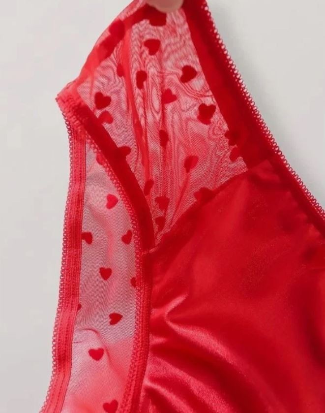 ❤️ Red Sheer Mesh Heart Knickers Satin Front Briefs romantic panties size M 10