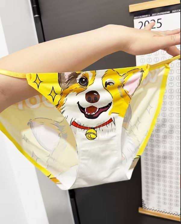 5x ice silky tanga panties satin knickers for anime fans seamless M / UK 10-12