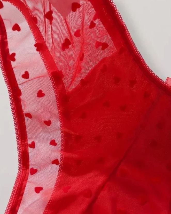 Red Sheer Mesh Heart Knickers Satin Front Briefs romantic panties size XL 16-18