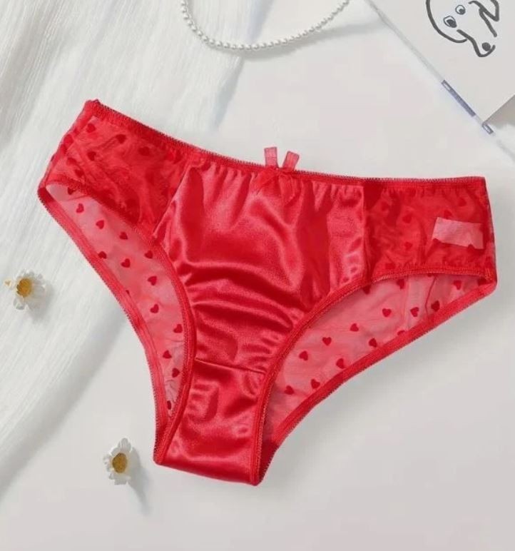 Red Sheer Mesh Heart Knickers Satin Front Briefs romantic panties size XL 16-18