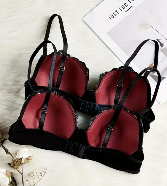 Luxurious Embroidered Bra With Moulded Cups Non-Padded Underwire Support