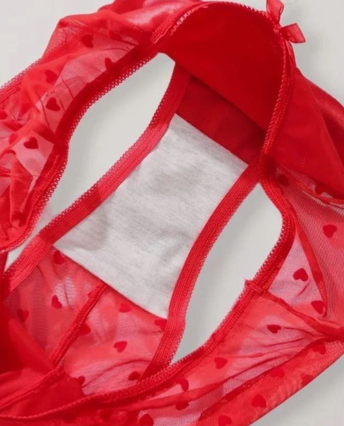 ❤️ Red Sheer Mesh Heart Knickers Satin Front Briefs romantic panties size M 10