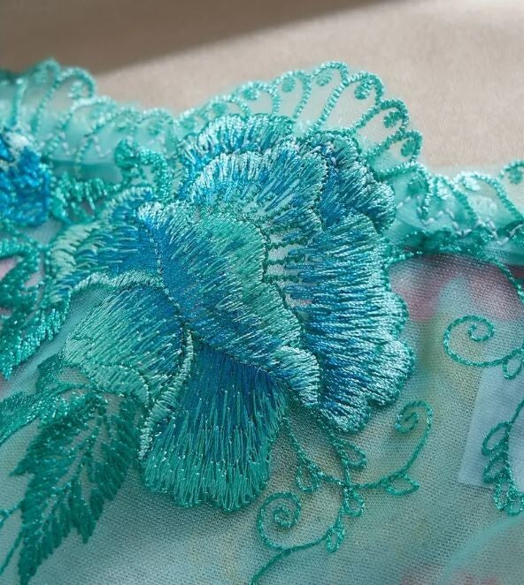 Women's sexy lace embroidered semi-sheer panties floral knickers
