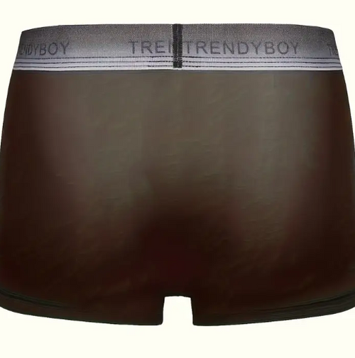 Mens Cooling Boxers - Ultra-Soft Ice Silk, Breathable, Comfy & Sexy Satin boxers