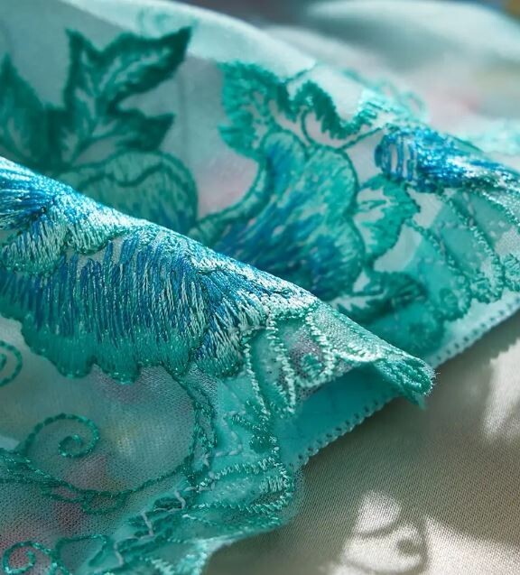 Women's sexy lace embroidered semi-sheer panties floral knickers
