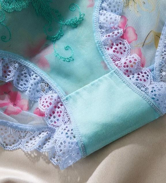 Women's sexy lace embroidered semi-sheer panties floral knickers