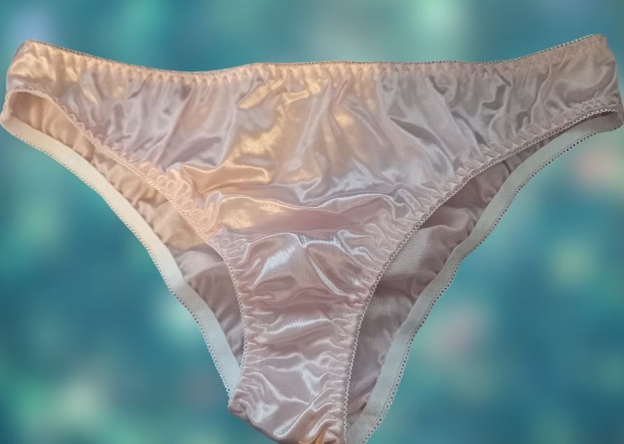 Women's unisex silky feel shiny satin knickers bow decor sissy CD TV