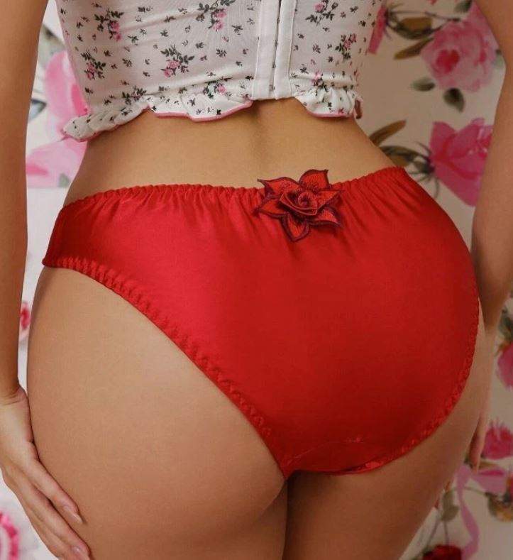 Red Satin Knickers Floral Embroidered Mesh Panties Silky Soft Briefs size 12-14 L
