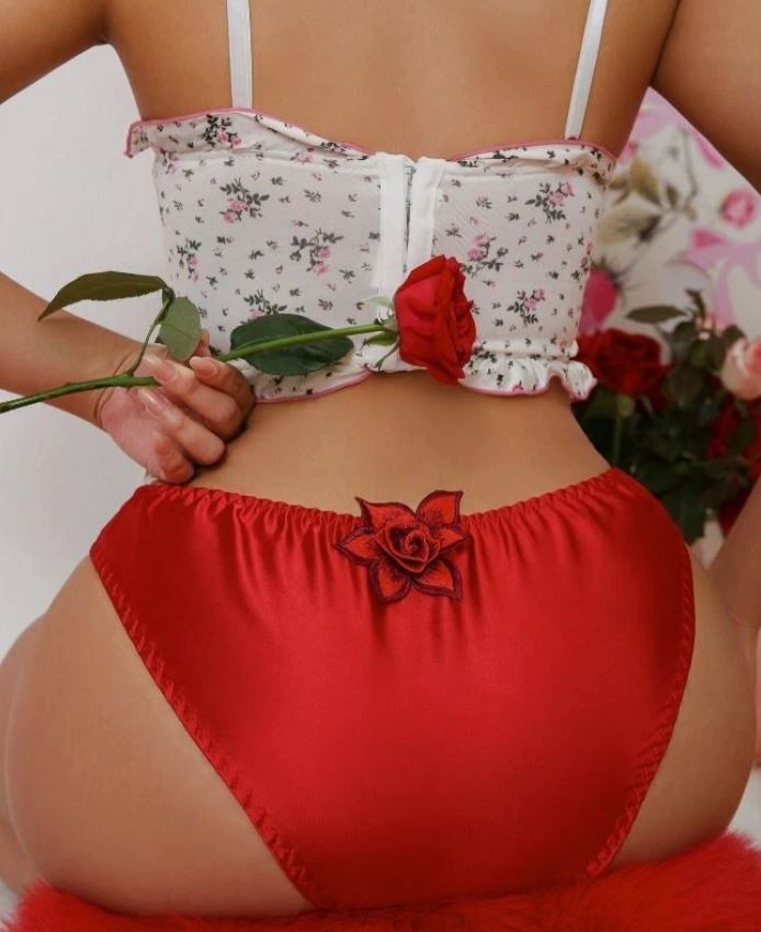 Red Satin Knickers Floral Embroidered Mesh Panties Silky Soft Briefs size M 10