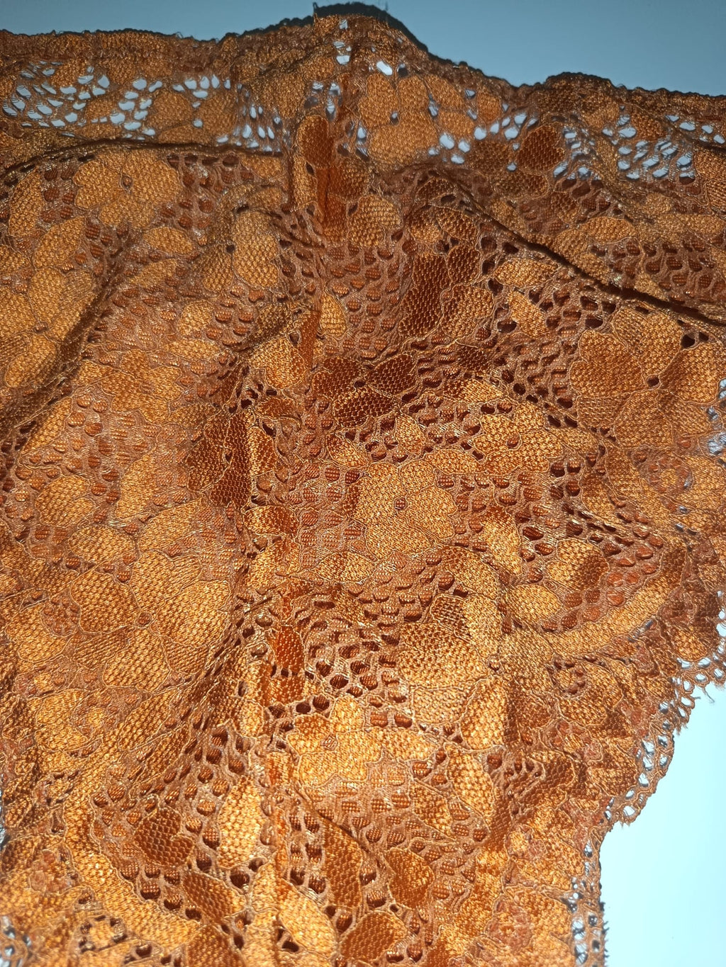 Bronze Copper Satin Knickers Silky Floral Lace Bikini Briefs size L 12-14