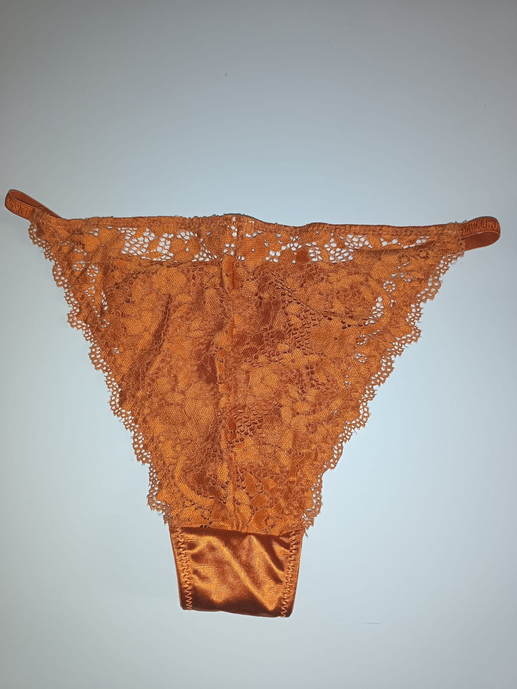 Bronze Copper Satin Knickers Silky Floral Lace Bikini Briefs size M 10