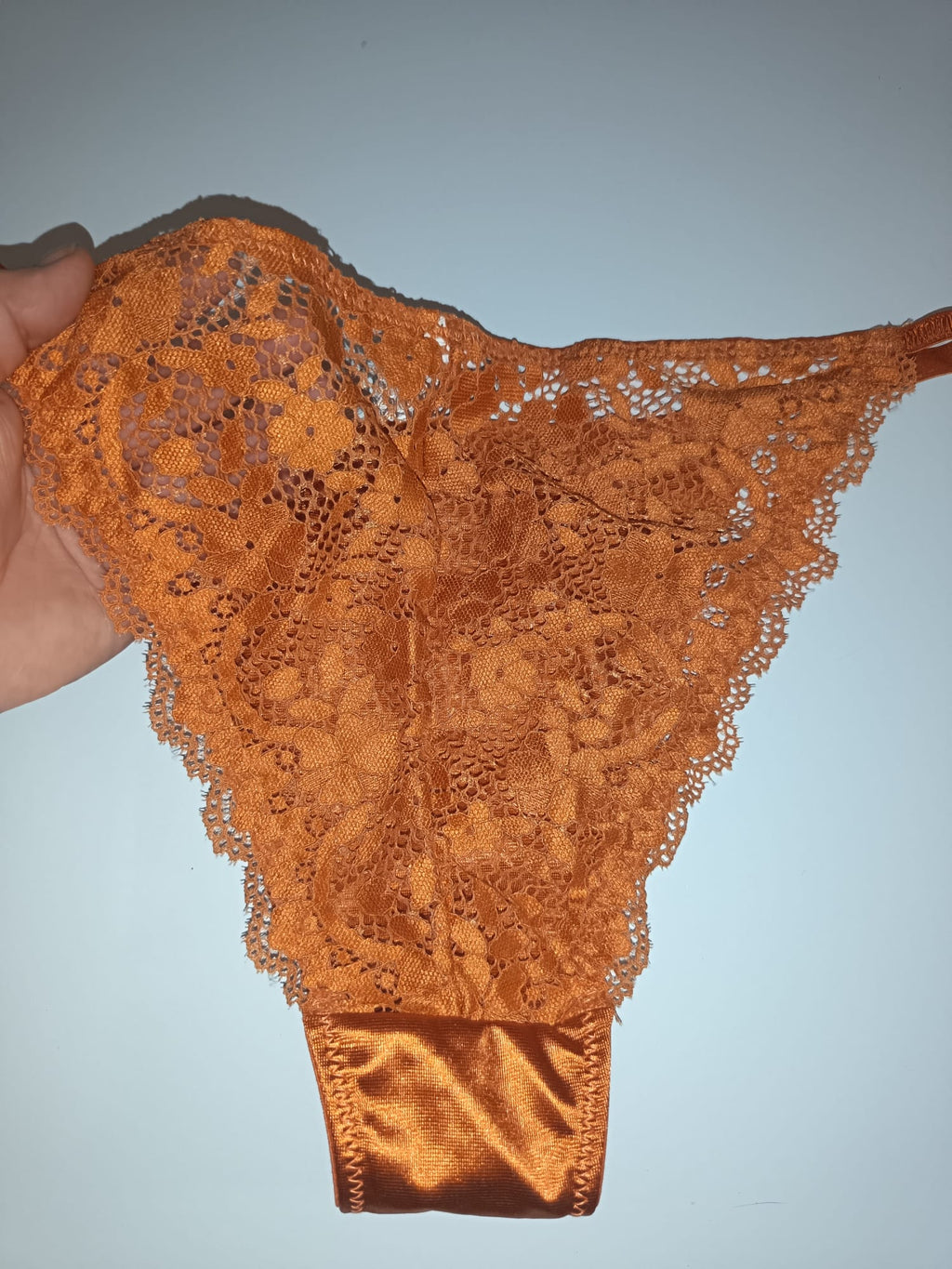 Bronze Copper Satin Knickers Silky Floral Lace Bikini Briefs size L 12-14