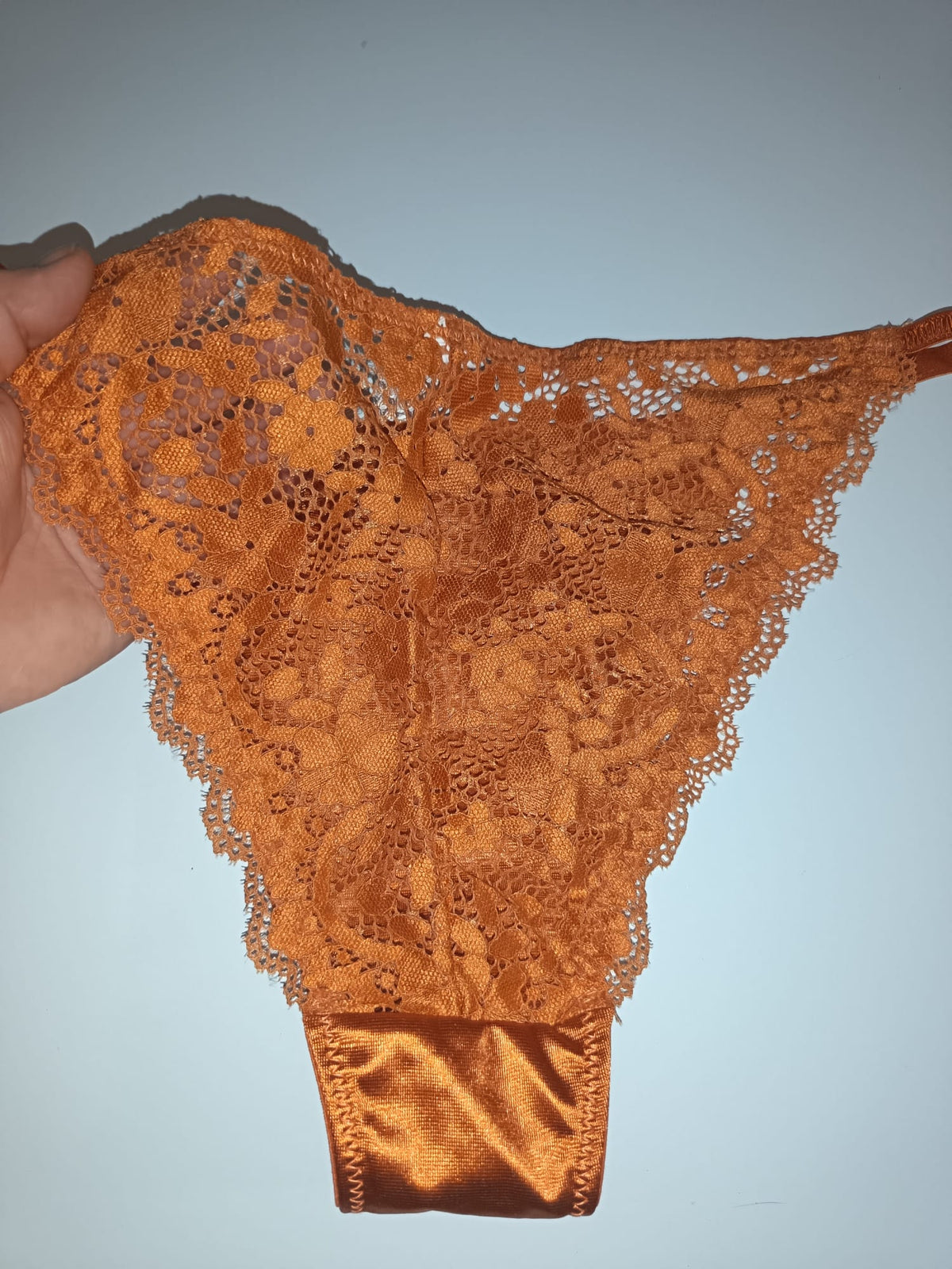 Bronze Copper Satin Knickers Silky Floral Lace Bikini Briefs size L 12-14