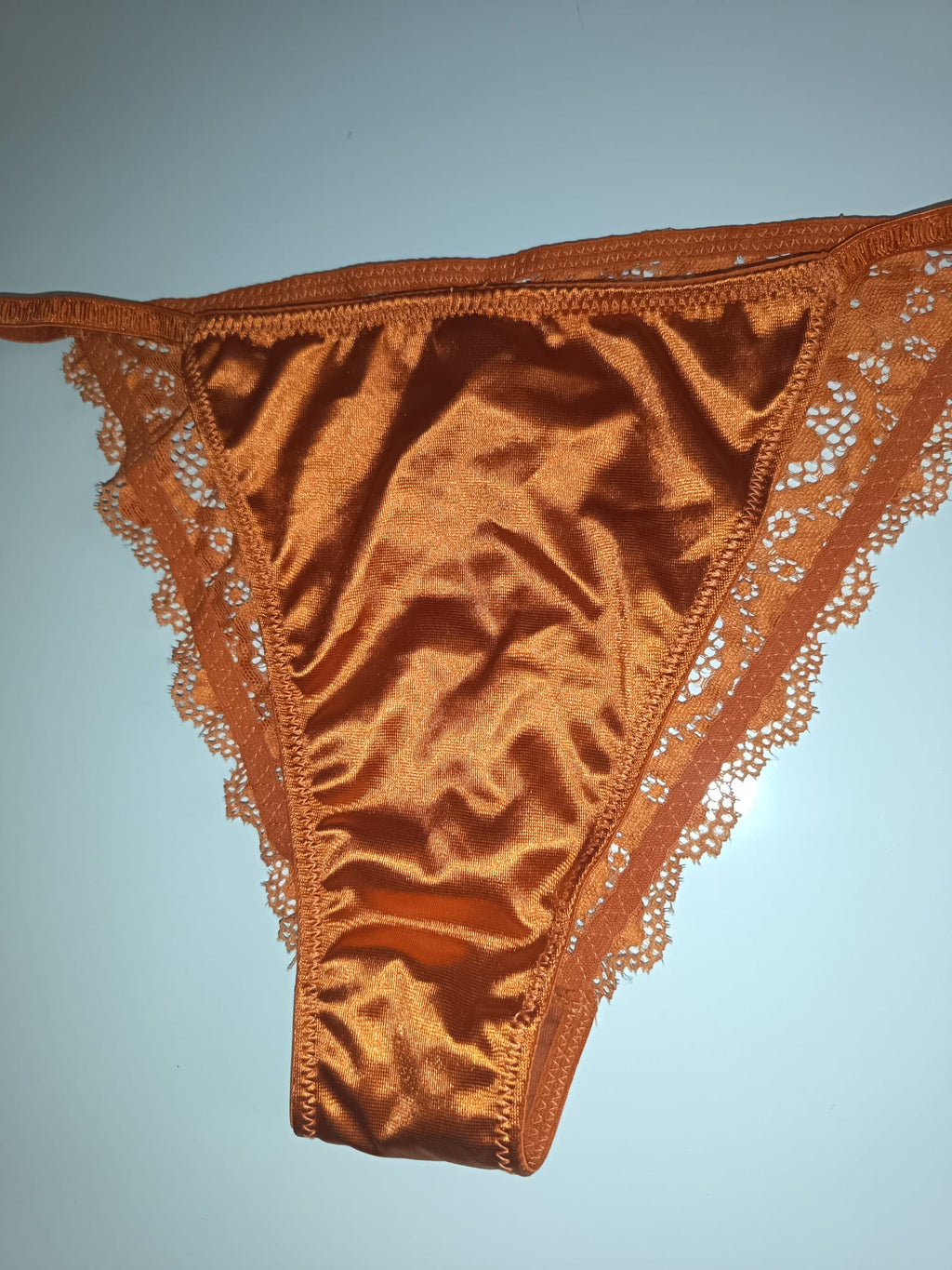 Bronze Copper Satin Knickers Silky Floral Lace Bikini Briefs size L 12-14