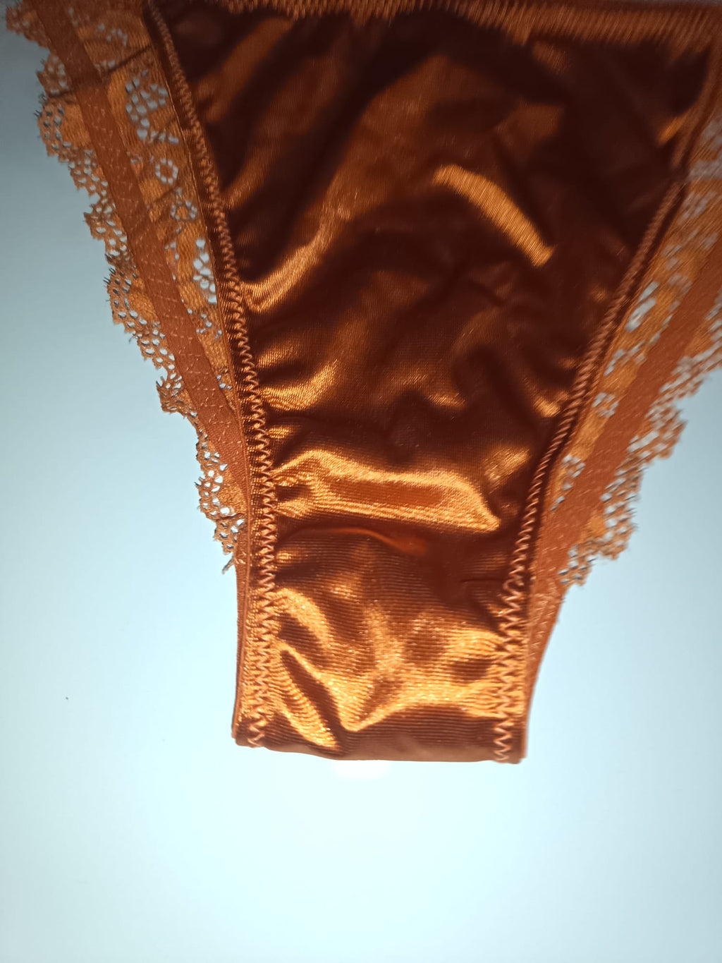 Bronze Copper Satin Knickers Silky Floral Lace Bikini Briefs size L 12-14