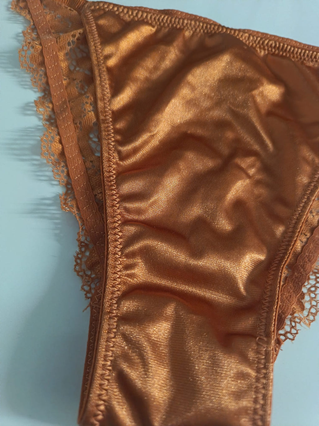 Bronze Copper Satin Knickers Silky Floral Lace Bikini Briefs size M 10