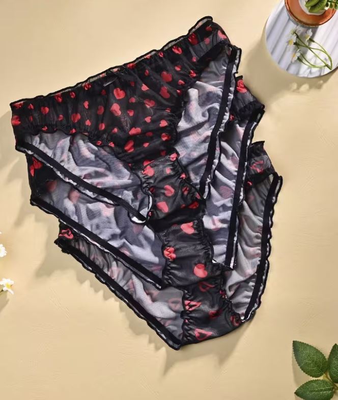 ❤️ 3 Pack Sheer Mesh Heart Print Knickers Panties Briefs Soft size L 12-14 ❤️