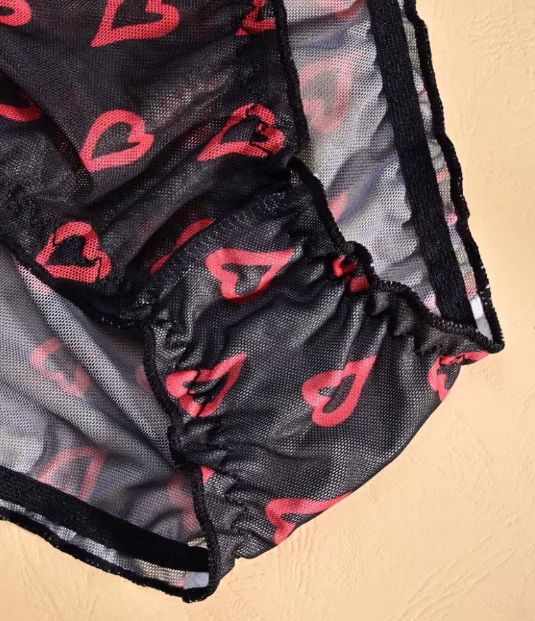 ❤️ 3 Pack Sheer Mesh Heart Print Knickers Panties Briefs Soft size L 12-14 ❤️